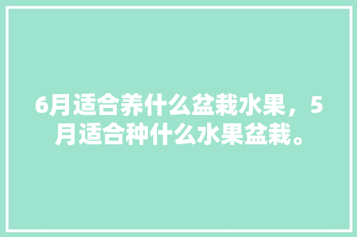 6月适合养什么盆栽水果，5月适合种什么水果盆栽。 家禽养殖