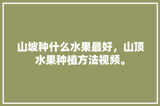 山坡种什么水果最好，山顶水果种植方法视频。 畜牧养殖