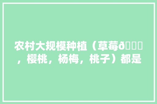 农村大规模种植（草莓🍓，樱桃，杨梅，桃子）都是应季水果，怎么做到深加工快速消费，高端水果种植玩法有哪些。 蔬菜种植