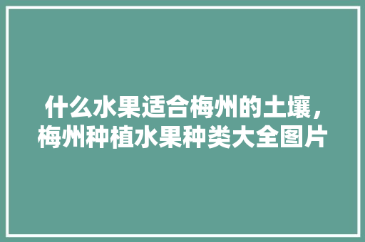 什么水果适合梅州的土壤，梅州种植水果种类大全图片。 什么水果适合梅州的土壤，梅州种植水果种类大全图片。 蔬菜种植