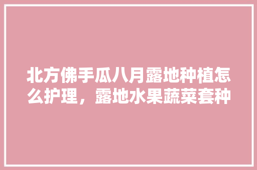 北方佛手瓜八月露地种植怎么护理，露地水果蔬菜套种植方法。 北方佛手瓜八月露地种植怎么护理，露地水果蔬菜套种植方法。 土壤施肥