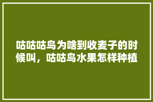 咕咕咕鸟为啥到收麦子的时候叫，咕咕鸟水果怎样种植。 家禽养殖