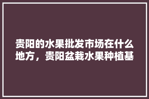 贵阳的水果批发市场在什么地方，贵阳盆栽水果种植基地在哪里。 水果种植