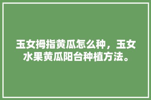 玉女拇指黄瓜怎么种，玉女水果黄瓜阳台种植方法。 土壤施肥