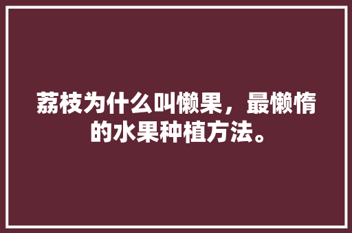 荔枝为什么叫懒果，最懒惰的水果种植方法。 水果种植