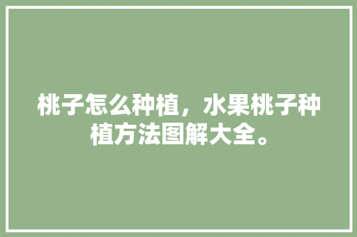 桃子怎么种植，水果桃子种植方法图解大全。 土壤施肥