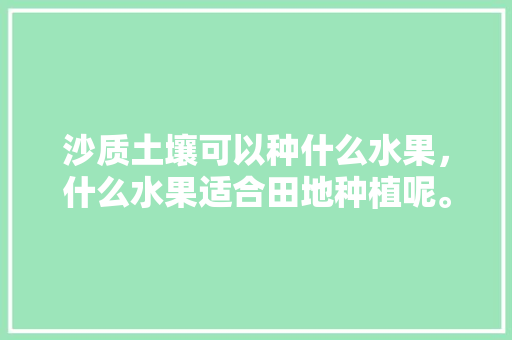 沙质土壤可以种什么水果，什么水果适合田地种植呢。 土壤施肥