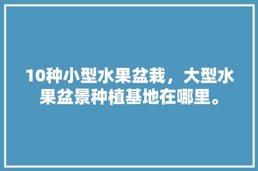 10种小型水果盆栽，大型水果盆景种植基地在哪里。 畜牧养殖