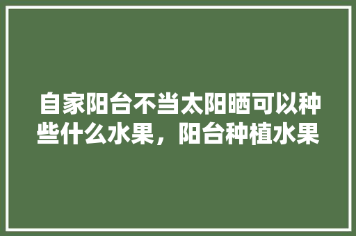 自家阳台不当太阳晒可以种些什么水果，阳台种植水果不长虫吗。 土壤施肥