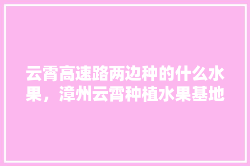 云霄高速路两边种的什么水果，漳州云霄种植水果基地。 家禽养殖