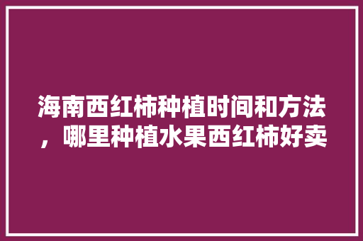 海南西红柿种植时间和方法，哪里种植水果西红柿好卖呢。 蔬菜种植