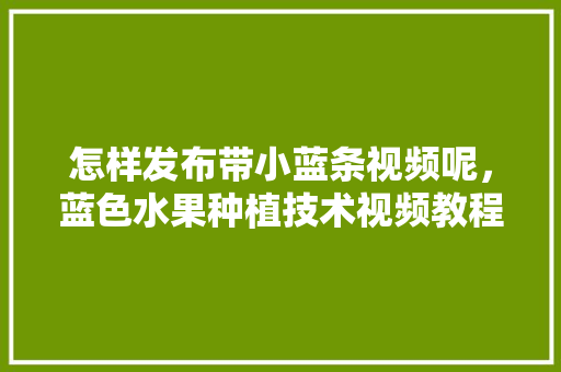 怎样发布带小蓝条视频呢，蓝色水果种植技术视频教程。 蔬菜种植