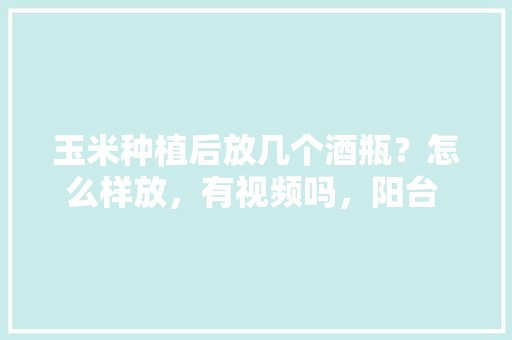 玉米种植后放几个酒瓶？怎么样放，有视频吗，阳台 水果玉米种植视频教程。 家禽养殖