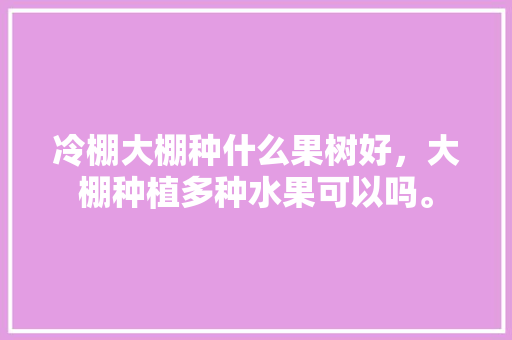 冷棚大棚种什么果树好，大棚种植多种水果可以吗。 蔬菜种植