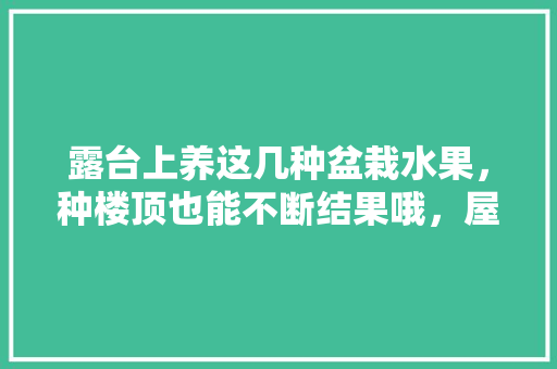 露台上养这几种盆栽水果，种楼顶也能不断结果哦，屋顶种植水果有哪些好处。 畜牧养殖