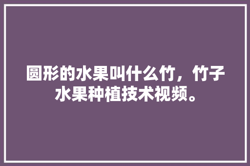 圆形的水果叫什么竹，竹子水果种植技术视频。 畜牧养殖