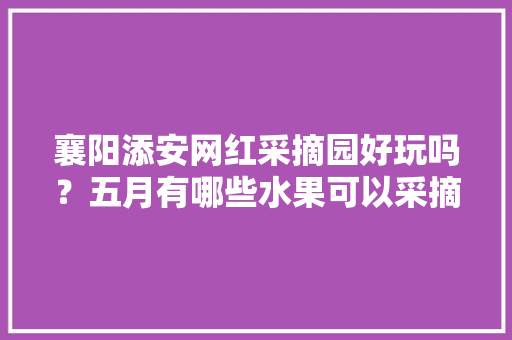 襄阳添安网红采摘园好玩吗？五月有哪些水果可以采摘，襄阳地区适合种植水果吗。 蔬菜种植