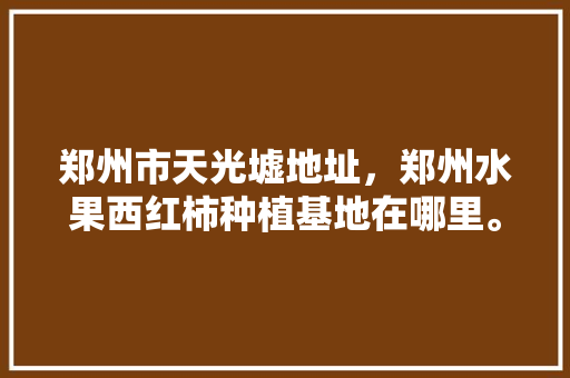 郑州市天光墟地址，郑州水果西红柿种植基地在哪里。 蔬菜种植