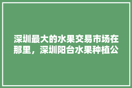 深圳最大的水果交易市场在那里，深圳阳台水果种植公司有哪些。 深圳最大的水果交易市场在那里，深圳阳台水果种植公司有哪些。 水果种植