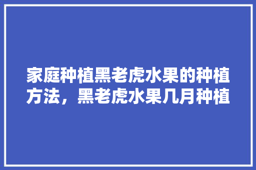 家庭种植黑老虎水果的种植方法，黑老虎水果几月种植最好。 水果种植