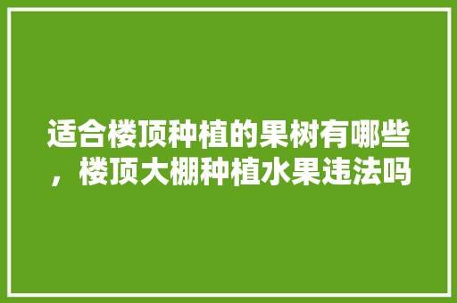 适合楼顶种植的果树有哪些，楼顶大棚种植水果违法吗。 蔬菜种植