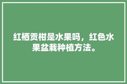 红栖贡柑是水果吗，红色水果盆栽种植方法。 水果种植