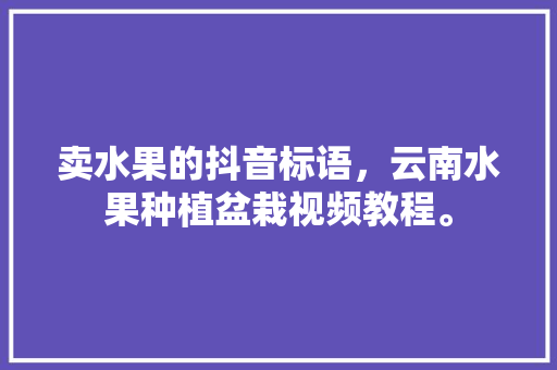 卖水果的抖音标语，云南水果种植盆栽视频教程。 蔬菜种植