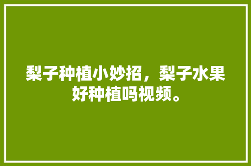 梨子种植小妙招，梨子水果好种植吗视频。 土壤施肥