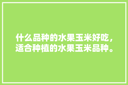 什么品种的水果玉米好吃，适合种植的水果玉米品种。 土壤施肥