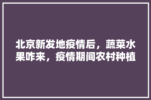 北京新发地疫情后，蔬菜水果咋来，疫情期间农村种植水果有补贴吗。 水果种植