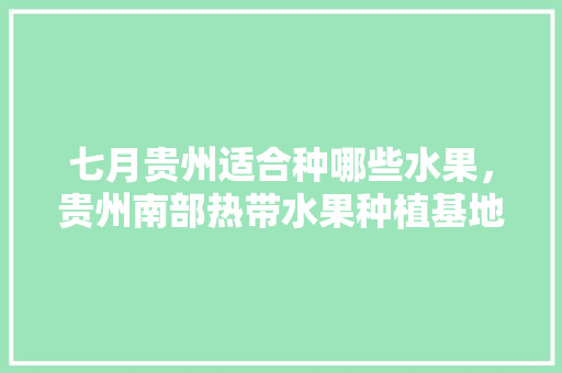 七月贵州适合种哪些水果，贵州南部热带水果种植基地。 水果种植