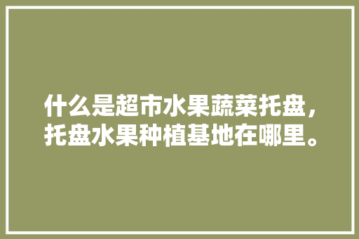 什么是超市水果蔬菜托盘，托盘水果种植基地在哪里。 家禽养殖