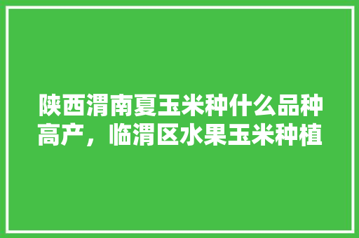 陕西渭南夏玉米种什么品种高产，临渭区水果玉米种植面积。 土壤施肥