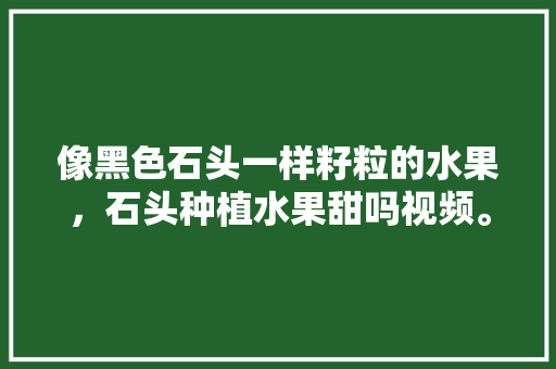 像黑色石头一样籽粒的水果，石头种植水果甜吗视频。 家禽养殖