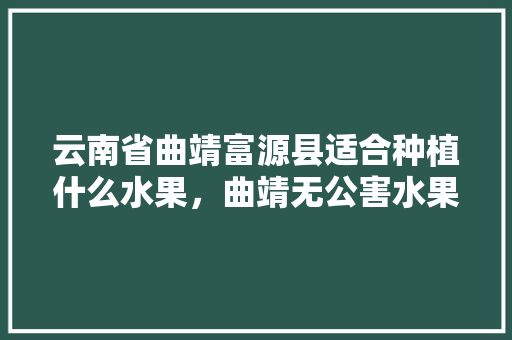 云南省曲靖富源县适合种植什么水果，曲靖无公害水果种植基地。 土壤施肥