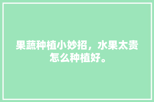 果蔬种植小妙招，水果太贵怎么种植好。 土壤施肥