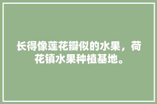 长得像莲花瓣似的水果，荷花镇水果种植基地。 畜牧养殖