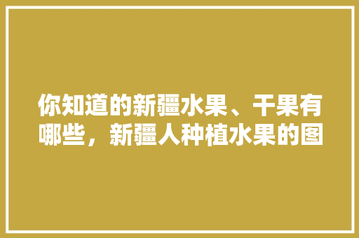 你知道的新疆水果、干果有哪些，新疆人种植水果的图画。 家禽养殖