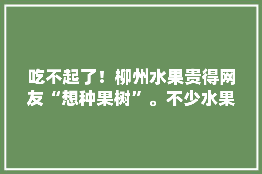 吃不起了！柳州水果贵得网友“想种果树”。不少水果售价比去年同期翻倍, 你怎么看，柳州水果种植户名单查询。 畜牧养殖