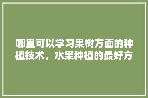 哪里可以学习果树方面的种植技术，水果种植的最好方法是什么。 哪里可以学习果树方面的种植技术，水果种植的最好方法是什么。 土壤施肥