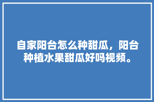 自家阳台怎么种甜瓜，阳台种植水果甜瓜好吗视频。 畜牧养殖