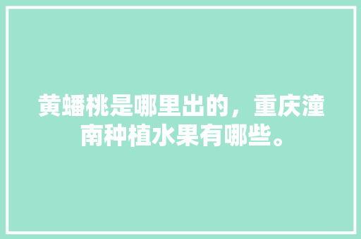 黄蟠桃是哪里出的，重庆潼南种植水果有哪些。 黄蟠桃是哪里出的，重庆潼南种植水果有哪些。 土壤施肥