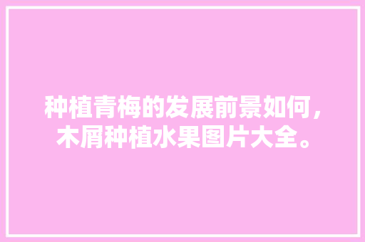 种植青梅的发展前景如何，木屑种植水果图片大全。 种植青梅的发展前景如何，木屑种植水果图片大全。 蔬菜种植