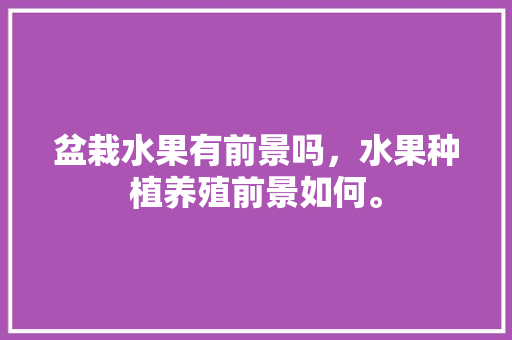 盆栽水果有前景吗，水果种植养殖前景如何。 盆栽水果有前景吗，水果种植养殖前景如何。 蔬菜种植