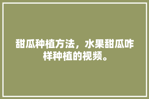 甜瓜种植方法，水果甜瓜咋样种植的视频。 甜瓜种植方法，水果甜瓜咋样种植的视频。 土壤施肥