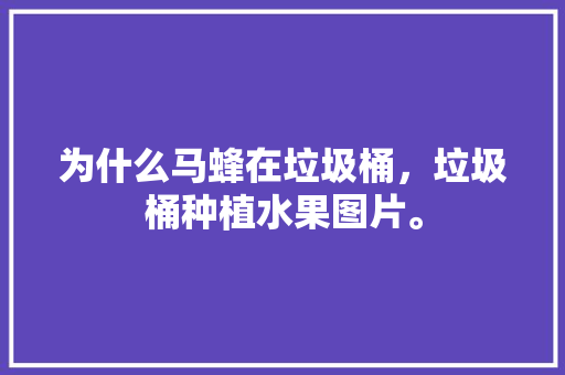 为什么马蜂在垃圾桶，垃圾桶种植水果图片。 为什么马蜂在垃圾桶，垃圾桶种植水果图片。 水果种植