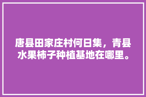 唐县田家庄村何日集，青县水果柿子种植基地在哪里。 唐县田家庄村何日集，青县水果柿子种植基地在哪里。 畜牧养殖