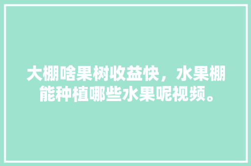 大棚啥果树收益快，水果棚能种植哪些水果呢视频。 大棚啥果树收益快，水果棚能种植哪些水果呢视频。 土壤施肥