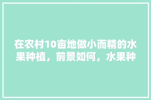 在农村10亩地做小而精的水果种植，前景如何，水果种植曝光视频下载软件。 在农村10亩地做小而精的水果种植，前景如何，水果种植曝光视频下载软件。 水果种植