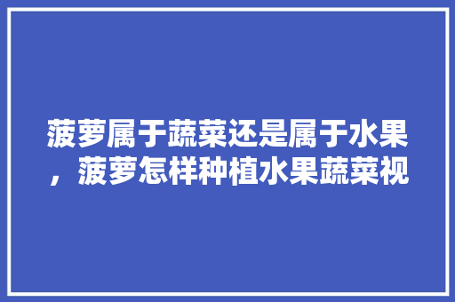 菠萝属于蔬菜还是属于水果，菠萝怎样种植水果蔬菜视频。 家禽养殖